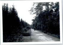24576 W2357 Bad Bramstedt FOTO KEINE AK Fotoabzug