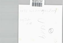 49767 W4477 Schöninghsdorf FOTO KEINE AK Fotoabzug, Geschäft