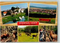 35088 W3559 Dodenau - Tierpark Wildschweine Damwild