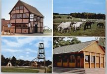49696 W4599 Dwergte , Gem Molbergen - Ponyhof, Pferd
