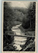 Bad Schwarzbach Czerniawa Zdroj 1927 - Isergebirge