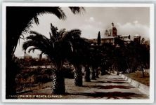 17025 Loano - Palmizi, Monte Carmelo