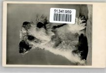 14662 O1551 Zootzen Damm - Landpoststempel Hund