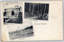 23629 W2401 Scharbeutz Gebrauchsspuren Villa Seelust und Dorothea, Waldpartie, Am Strande