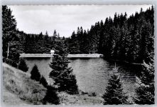 38667 W3396 Altenau , Harz - Hüttenteich