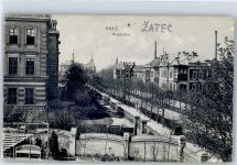 Zatec Saaz