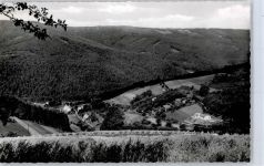 64757 W6121 Kortelshütte - Blick ins Himmelreich
