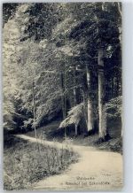 24340 W2330 Eckernförde - Waldpartie in Altenhof AKU1