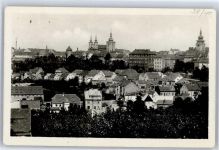 Zatec Saaz
