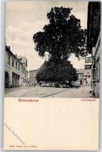 65366 W6222 Geisenheim , Rheingau - Lindenplatz