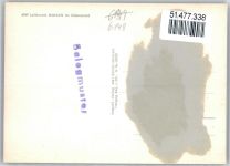 64689 W6149 Wahlen , Odenw