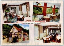 64747 W6127 Wald-Amorbach - Gasthaus Pension Waldesruh