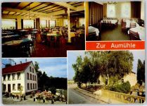 67454 W6733 Haßloch , Pfalz - Gasthaus Zur Aumühle