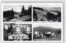 77889 W7596 Seebach , Baden Foto AK Gasthaus Pension Kernhof