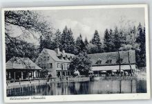 32805 W4934 Leopoldstal , Lippe - Wald Gasthaus Pension Silbermühle AKU2