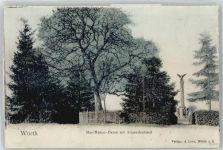 67360 Woerth Wörth an der Sauer Lithographie Mac Mahon-Baum Armeedenkmal
