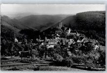 75385 W7264 Zavelstein
