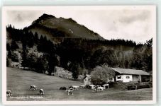 83730 W8165 Birkenstein - Schwaigeralm