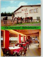 66914 W6797 Waldmohr - Reiterhof Familie Hammer