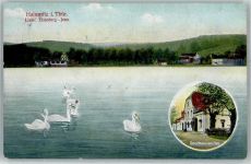 07607 O6521 Hainspitz 1913 - Gasthaus am See