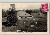 01200 Bellegarde-sur-Valserine - Chalet de la dole Bauernhaus Rinder