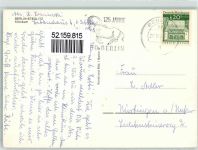 10115 W1000 Steglitz - Krankenhaus Sonderstempel 125 Jahre Zoo Berlin