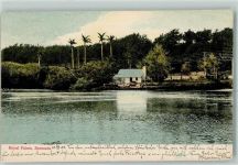 Hamilton 1905 - Royal Palms
