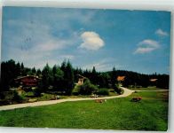 94253 W8379 Bischofsmais 1963 Gebrauchsspuren Pension Waldferiendorf Dürrwies
