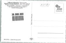 72213 W7272 Altensteig , Württ Foto AK Gasthaus Pension Waldhorn