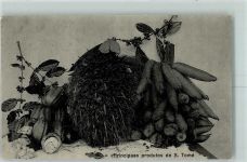Principaes produtos de S. Tomé Gemüse Obst