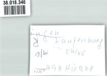 79725 W7887 Laufenburg , Baden FOTO KEINE AK Ort handschriftlich Foto Original aus Archiv eines Ansichtskartenverlages