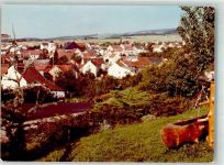 66709 W6649 Rappweiler FOTO KEINE AK Foto Original aus Archiv eines Ansichtskartenverlages Ort handschriftlich