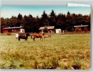 66709 W6649 Weiskirchen , Saar FOTO KEINE AK Pferde Foto Original aus Archiv eines Ansichtskartenverlages Ort handschriftlich