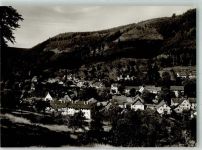 75339 W7545 Höfen an der Enz Foto AK