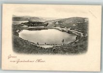 54550 W5568 Daun Foto AK Gmündener Maar