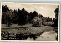 09212 O9102 Limbach-Oberfrohna 1938 Foto AK Stadtpark Goldfischteich