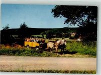 37603 W3450 Neuhaus im Solling Foto AK Kutschenfahrt