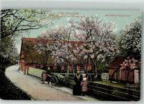 21635 W2155 Lühe , Kr Stade 1909 Foto AK Tracht Altenlande