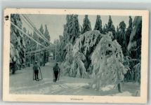 Skilanglauf K.D. Feldpost Wintersport 1917