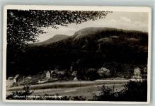 31737 W3262 Steinbergen , Wesergeb Foto AK