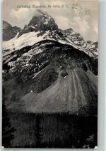 Victoria 1911 Foto AK Cathedral Mountain Field