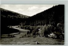 29614 W3040 Willingen Foto AK Hermeketal Kuh