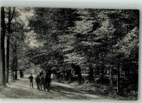 Tervuren Tervueren Foto AK Park