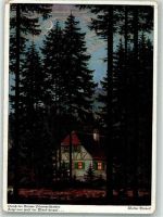Durch der Bäume Dämmerschatten Einbeck, W. Künstlerkarte