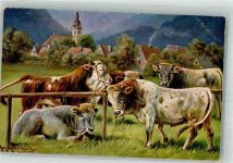 Rinder Müller jun. (München) Künstlerkarte