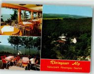 65385 W6220 Presberg , Rheingau Foto AK Gasthaus Rheingauer Alp