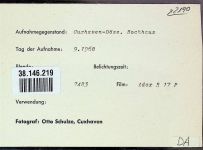 27472 W2190 Döse FOTO KEINE AK Foto montiert auf Karton Hochhaus