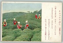 Tokyo Tokio 1934 Foto AK Beruf Teefplückerinnen Tracht Ort lt. Stempel