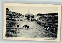 Rumänische Landschaft Bauern Ochsenkarren Motiv Rumänien Gebrauchsspuren