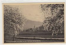 Witzenhausen an der Werra zur Zeit der Kirschblüte. ungelaufen handschriftliches Datum von 1934. Gute Erhaltung.
